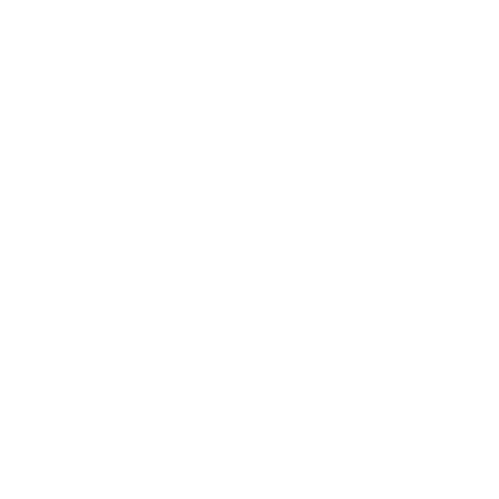 CENTRAL RING NETWORK ARCHITECTURE