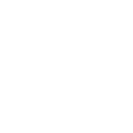 DIGITAL INTELLIGENT PLANT