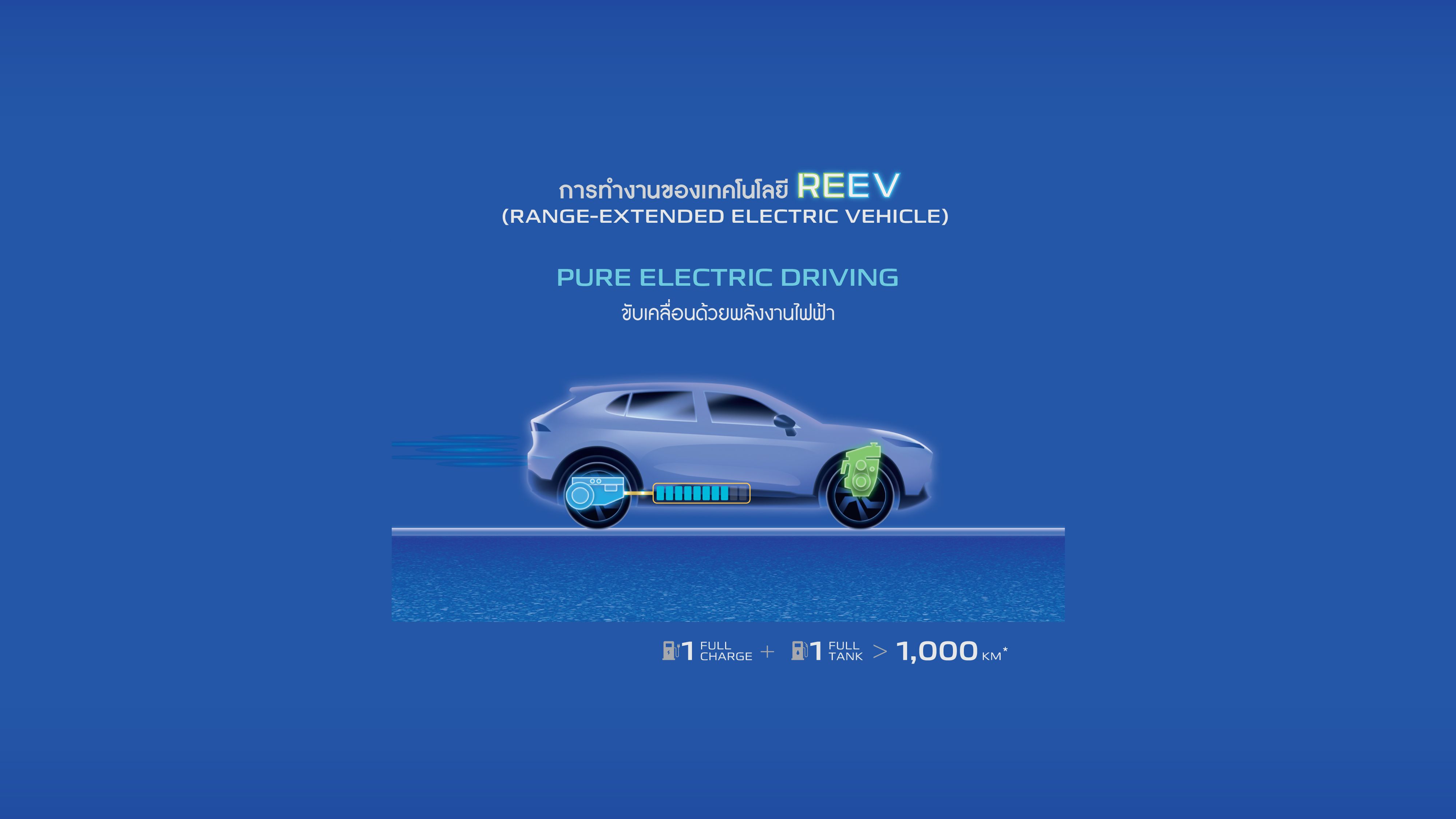 Pure Electric Driving