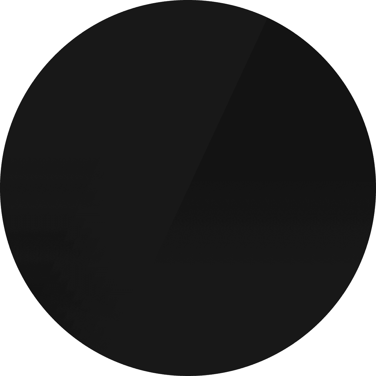 Obsidian Black​